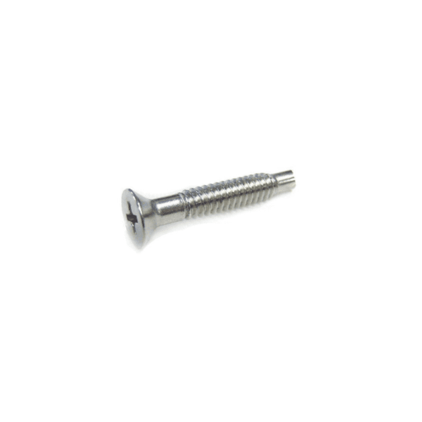 Pentair 619355 Pool Light Pilot Screw SS