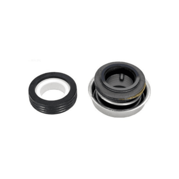 Pentair 071734S  Shaft Seal Set