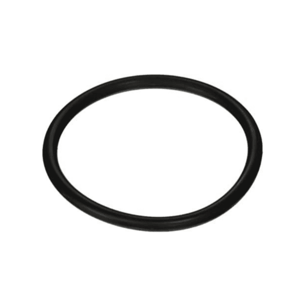 Pentair 154492 O-ring, 2 in. bulkhead, 2 req.