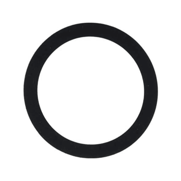 Pentair 154538 Gasket, 2 in. bulkhead, 2 req.